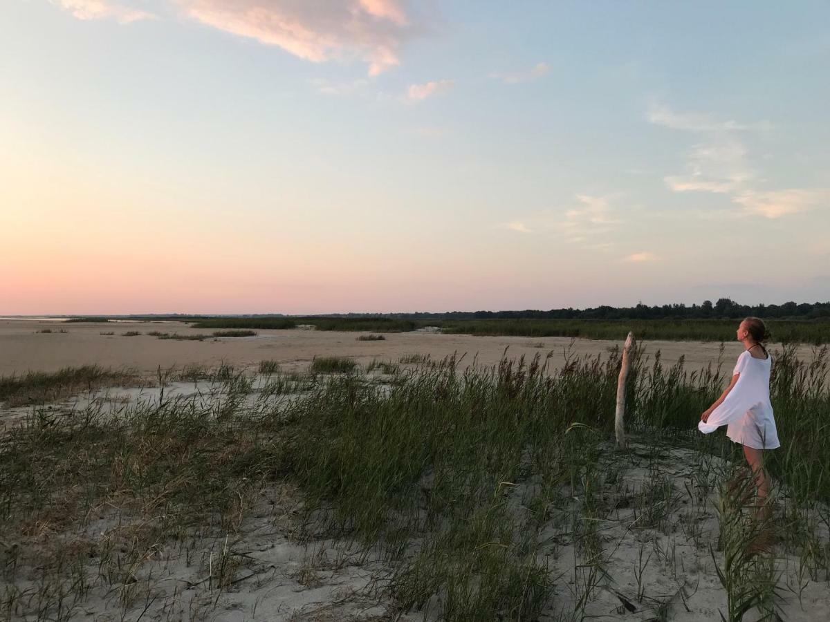 Suurkivi Nature Escape Häädemeeste Dış mekan fotoğraf